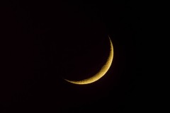 IMG_3198