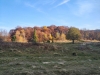 IMG_20181018_160712