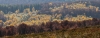 IMG_9589-2
